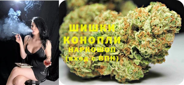 гидра Алексеевка