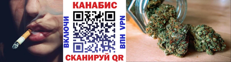Бошки марихуана сатива  мориарти наркотические препараты  Каменногорск  закладки 